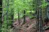 В крымских лесах заблудились туристы из Новой Каховки