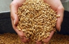 Європа виграла від обмежень експорту зерна з України