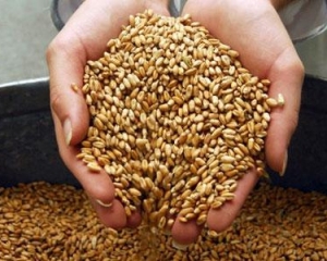 Европа выиграла от ограничений экспорта зерна из Украины 