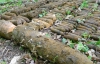 На Хмельниччині діти знайшли більше тисячі снарядів