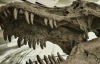 В монгольской пустыне Гоби обнаружили останки двух детенышей динозавра