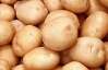 Украина увеличила экспорт картошки в 62 раза