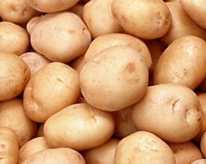Україна збільшила експорт картоплі у 62 рази