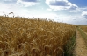 Украина сможет увеличить экспорт зерна на 54% - Минсельхоз США