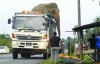 Прирученные слоны помогают перевозить диких