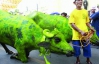 Ісідро Санкт пофарбував своїх корів у зелений колір