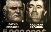 Сербы взбунтовались, узнав об аресте Младича