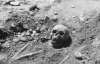 Знайшли останки 340 замордованих НКВС людей