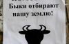 В Донецке сына Януковича сравнили с быком