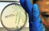 Смертоносная бактерия E.coli подбирается к Украине
