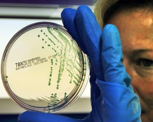 Смертоносная бактерия E.coli подбирается к Украине