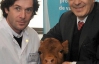 В Аргентині вивели корову, яка даватиме "людське" молоко