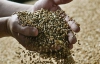 Украина опять ограничит экспорт зерновых уже этим летом - эксперты