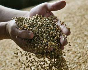 Україна знову обмежить експорт зернових вже цього літа - експерти