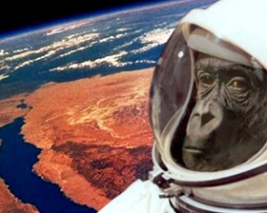 Іран найближчим часом відправить у космос мавпу