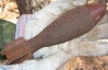 На кримському пляжі знайшли мінометний снаряд