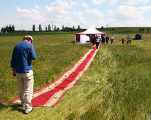 Подготовка Донецка к Евро-2012 больше всего не понравилось западным журналистам