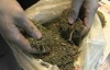 В автобусе с болельщиками "Зенита" обнаружили килограмм марихуаны