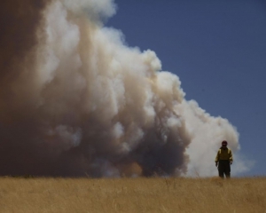 Из-за барбекю лесные пожары бушуют в 12 штатах Америки