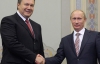 Янукович хочет сдать Медведеву трубу?