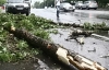 В Мариуполе ветер снес крыши и поломал деревья