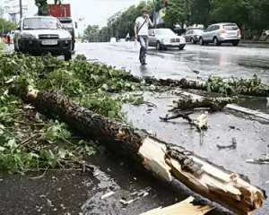 В Мариуполе ветер снес крыши и поломал деревья