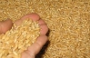 За прошлый год Украина продала за границу на 43% меньше зерна
