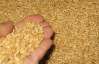 За прошлый год Украина продала за границу на 43% меньше зерна