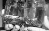 Туберкулез лечат личинками восковой моли