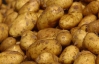 В июне картофель подорожал на 25%