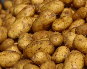 В июне картофель подорожал на 25%