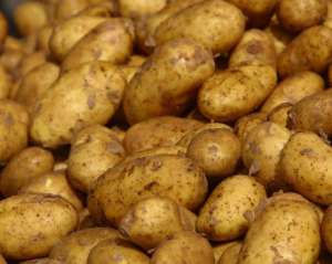 У червні картопля подорожчала на 25%