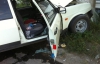 Кот вцепился в водителя и спровоцировал аварию в Донецке