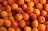 На щойно відкритому ринку "Столичний" абрикоси продають по 8 грн