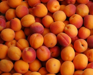 На только что открытом рынке &quot;Столичный&quot; абрикосы продают по 8 грн