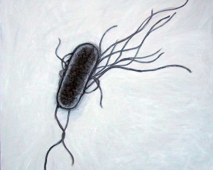 Сметроносну бактерию E.coli превратят в придверные коврики