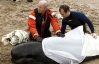 В Шотландии спасли 44 дельфинов-самоубийц