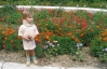 Двухлетнего Александра Овчарука спасла вишня 