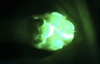 У Кореї з'явилась собака, яка світиться в ультрафіолеті