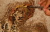В Италии раскопали мозаику с изображением Аполлона, датированную I веком