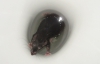 Жительница многоэтажки нашла крысу у себя в квартире