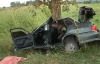 Смертельна ДТП на Сумщині: машину розірвало від удару об дерево