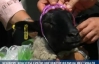 На конкурсі краси вівцям присвячували вірші та пісні