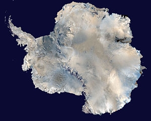 Цунамі в Японії відкололо від Антарктиди айсберг розміром з Манхеттен