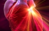 Серце може відновлювати власні клітини після інфаркту