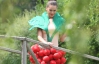 Платье от Украины для "Мисс Вселенная" решили переделать