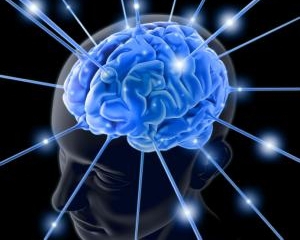 Человеческий мозг при необходимости умеет стирать ненужные воспоминания