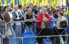 Участникам митинга в поддержку Януковича пообещали по 150 гривен
