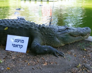 Ізраїльський крокодил Муаммар Каддафі змінить ім&#039;я через політичні обставини
