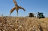 В уряді хочуть скасувати експортні мита на зерно - ЗМІ